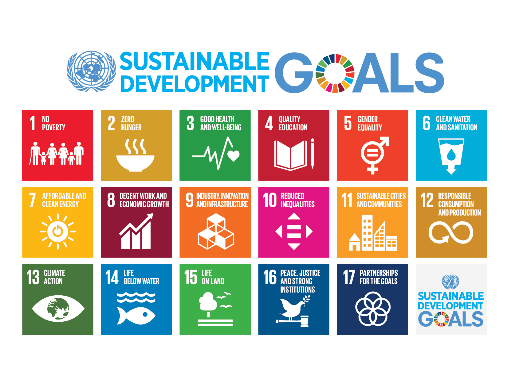 The UN SDGs